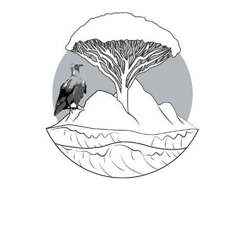 socotra luxury tour